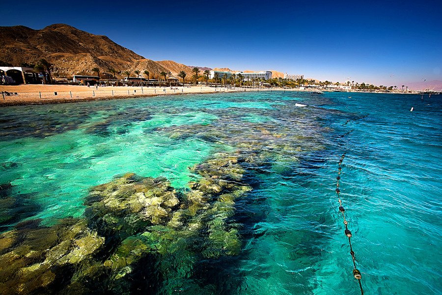 Where to get coke in Eilat. get cocaine/dope in Eilat